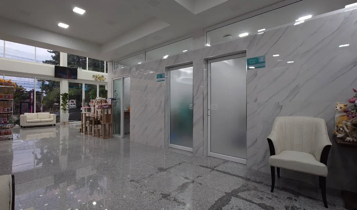 โรงพยาบาลสัตว์กรุงเทพ-นนท์ สาขา ท่าอิฐ คลินิก-โรงพยาบาลสัตว์ นนทบุรี 3