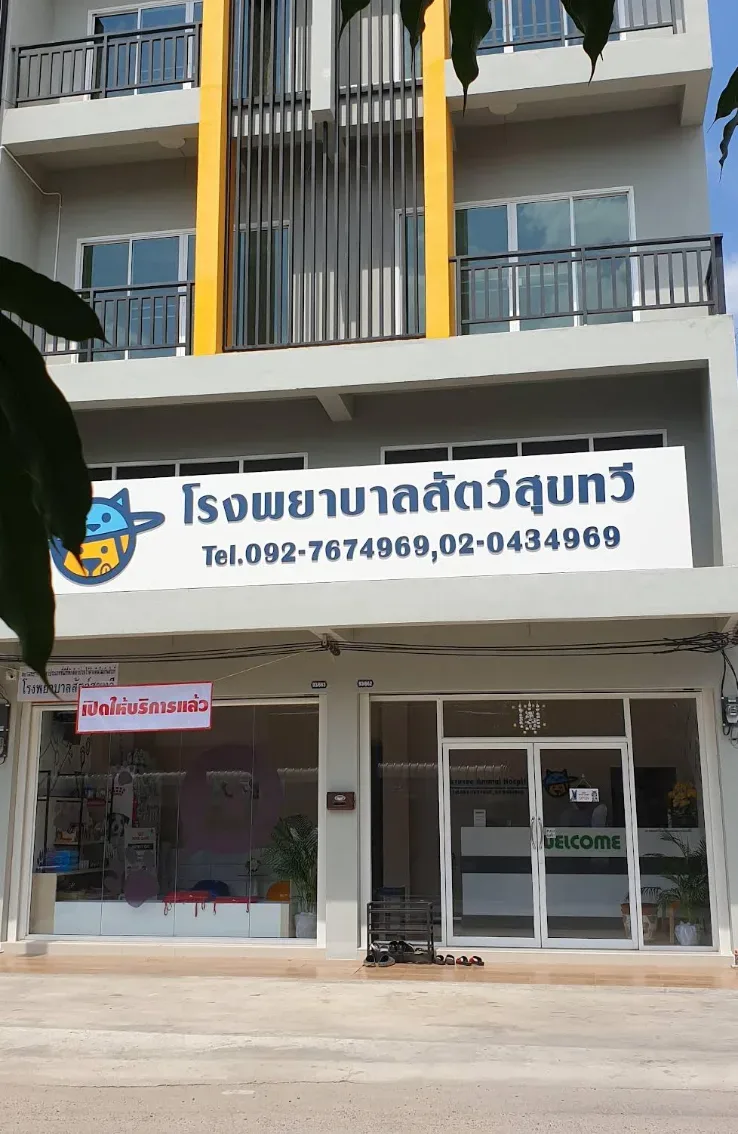 โรงพยาบาลสัตว์สุขทวี คลินิก-โรงพยาบาลสัตว์ นนทบุรี
