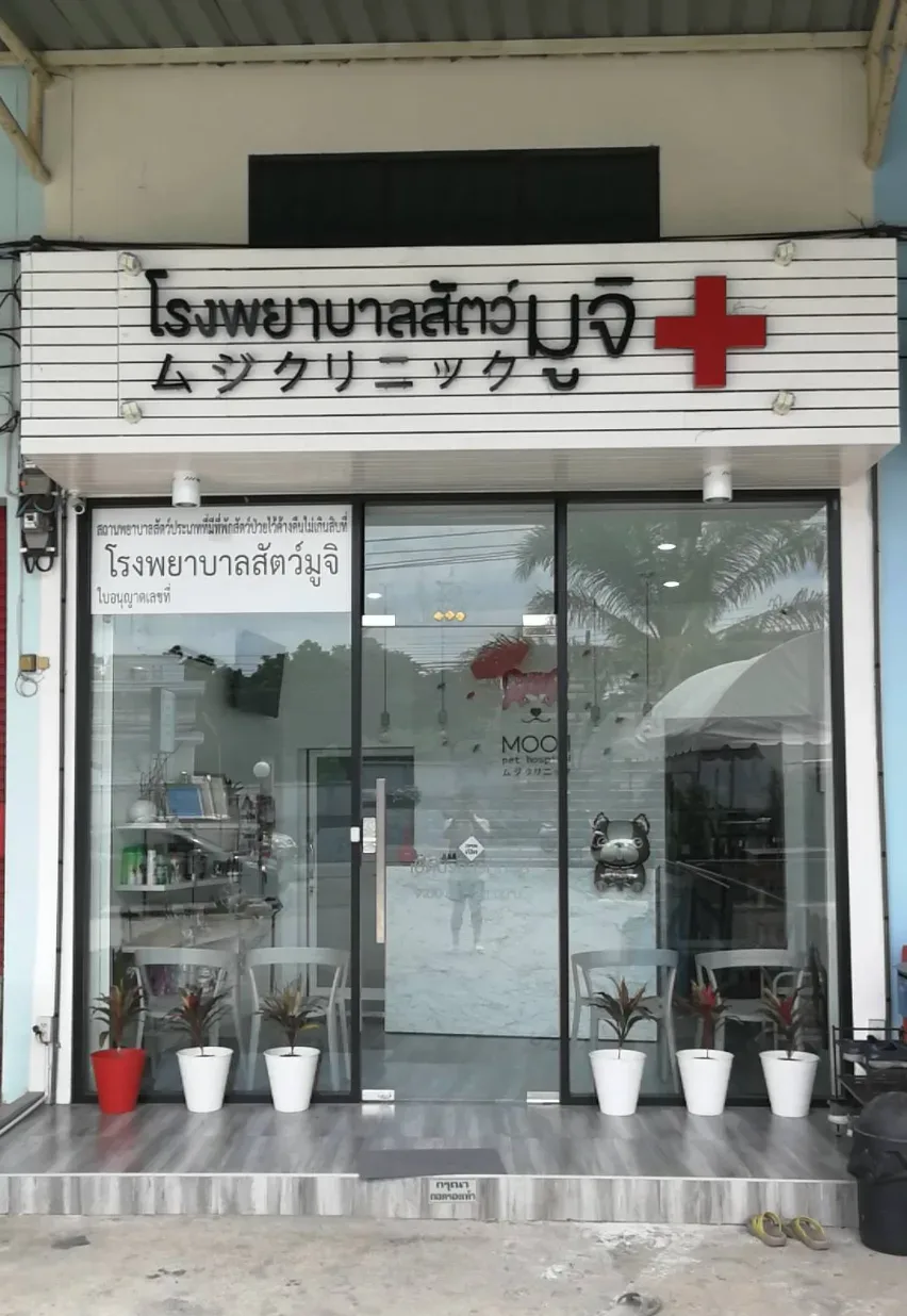 โรงพยาบาลสัตว์มูจิ คลินิก-โรงพยาบาลสัตว์ นนทบุรี