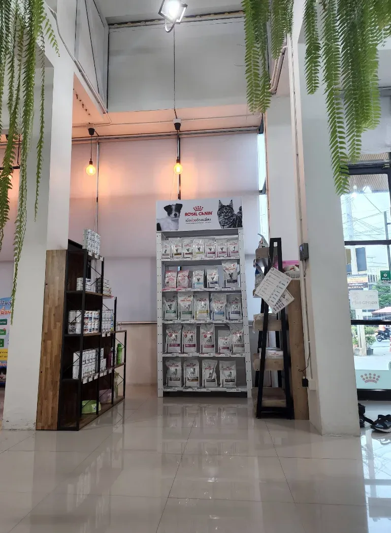 โรงพยาบาลสัตว์แกรนด์อเวนิวพรีเมียร์ คลินิก-โรงพยาบาลสัตว์ นนทบุรี 6