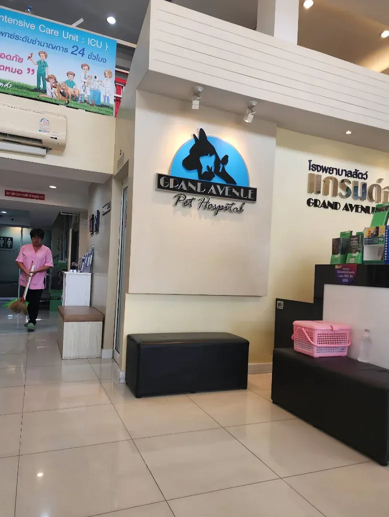 โรงพยาบาลสัตว์แกรนด์อเวนิวพรีเมียร์ คลินิก-โรงพยาบาลสัตว์ นนทบุรี 2