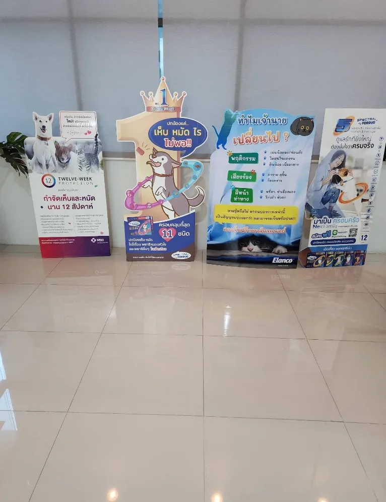 โรงพยาบาลสัตว์แกรนด์อเวนิวพรีเมียร์ คลินิก-โรงพยาบาลสัตว์ นนทบุรี 5