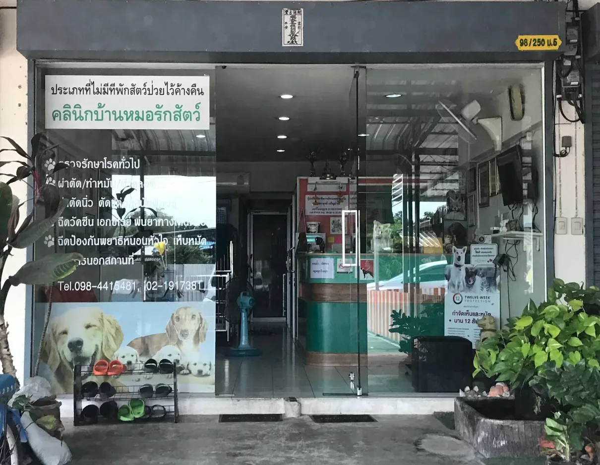 คลีนิคบ้านหมอรักสัตว์ คลินิก-โรงพยาบาลสัตว์ นนทบุรี 3