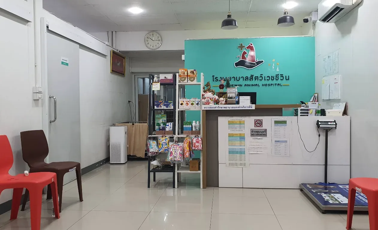 โรงพยาบาลสัตว์เวชชีวิน คลินิก-โรงพยาบาลสัตว์ นนทบุรี 2