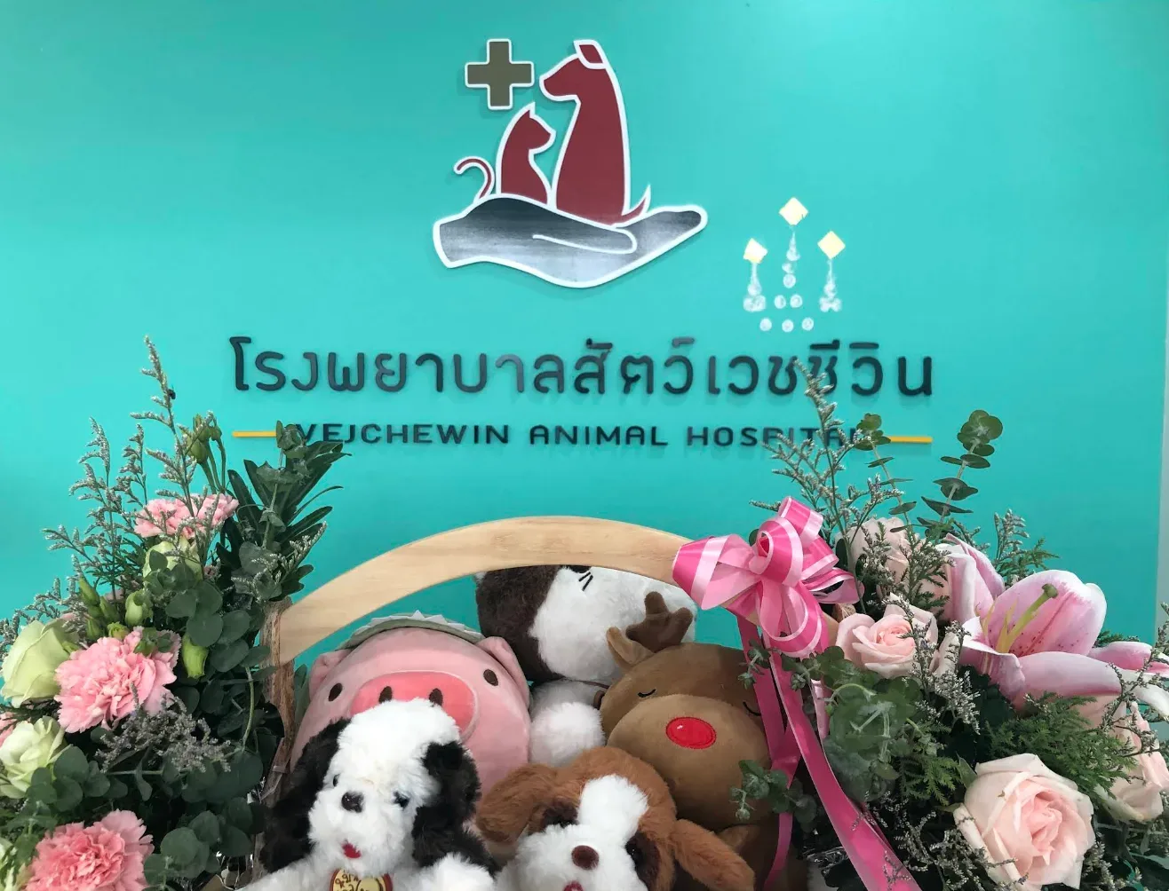 โรงพยาบาลสัตว์เวชชีวิน คลินิก-โรงพยาบาลสัตว์ นนทบุรี 4