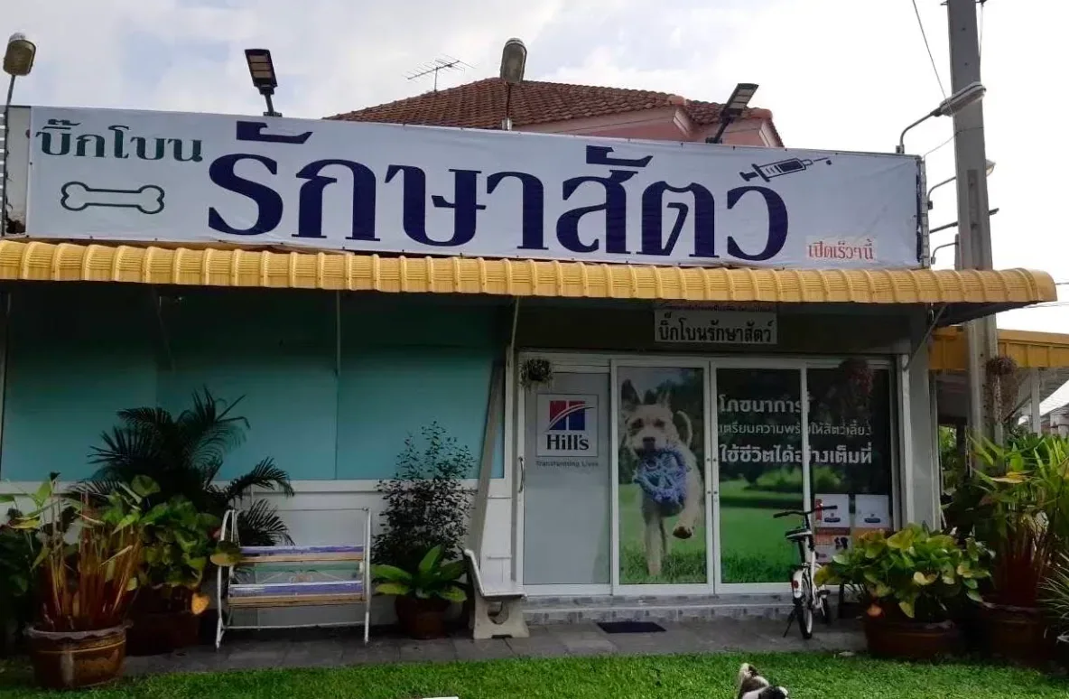 บิ๊กโบนรักษาสัตว์ คลินิก-โรงพยาบาลสัตว์ นนทบุรี