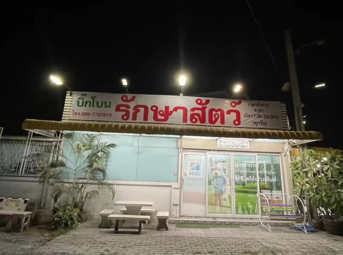 บิ๊กโบนรักษาสัตว์ คลินิก-โรงพยาบาลสัตว์ นนทบุรี 2