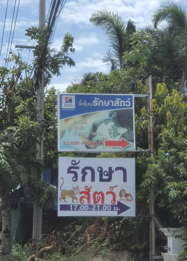 บิ๊กโบนรักษาสัตว์ คลินิก-โรงพยาบาลสัตว์ นนทบุรี 3