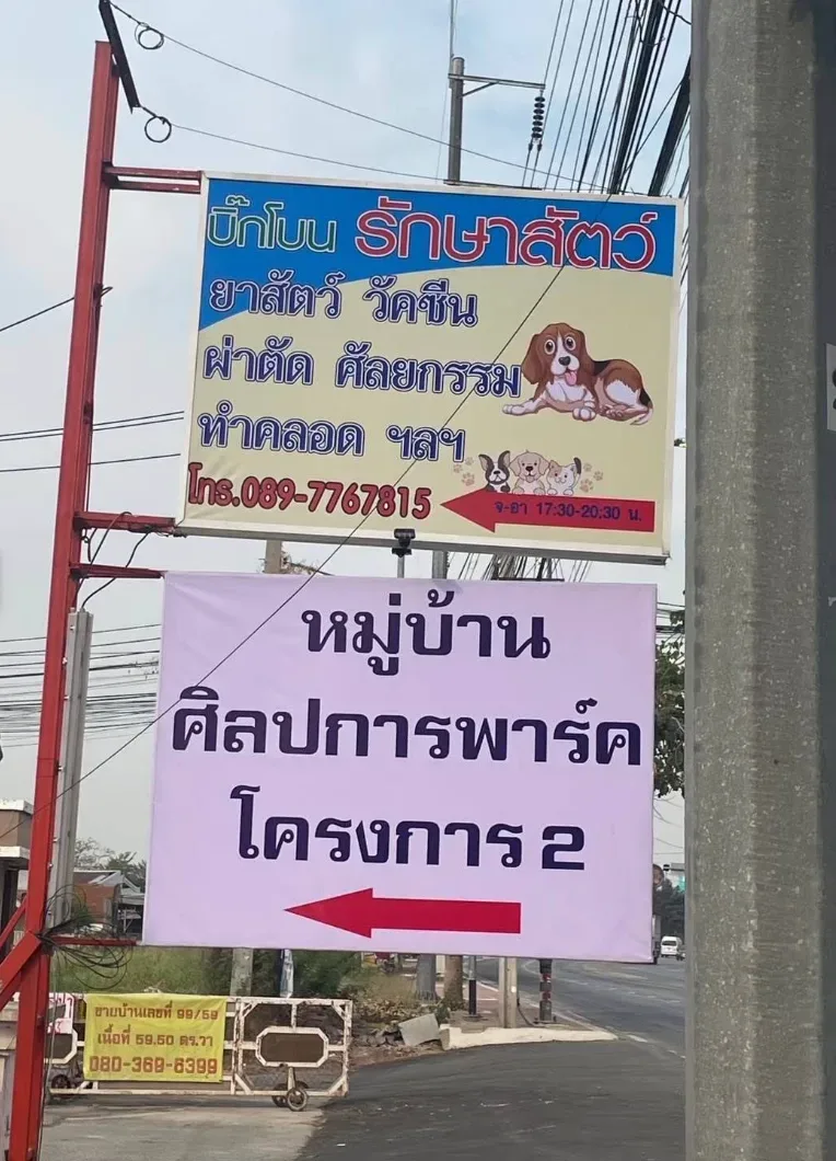 บิ๊กโบนรักษาสัตว์ คลินิก-โรงพยาบาลสัตว์ นนทบุรี 4