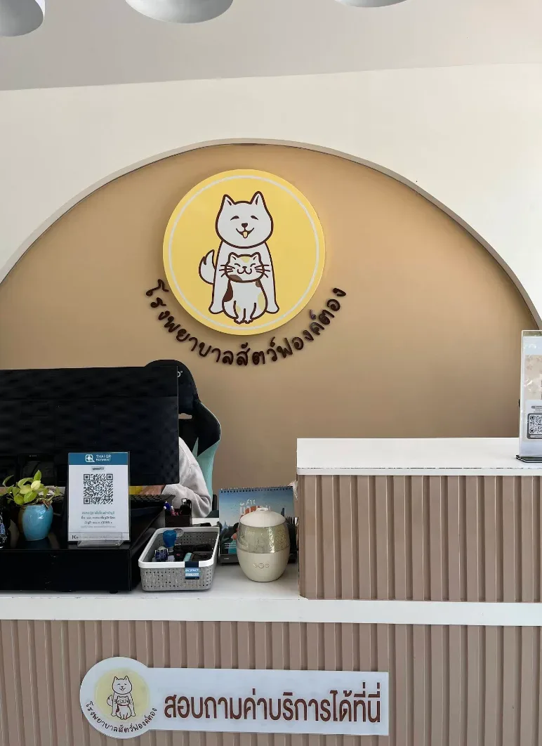โรงพยาบาลสัตว์ฟองค์ตอง คลินิก-โรงพยาบาลสัตว์ นนทบุรี 4