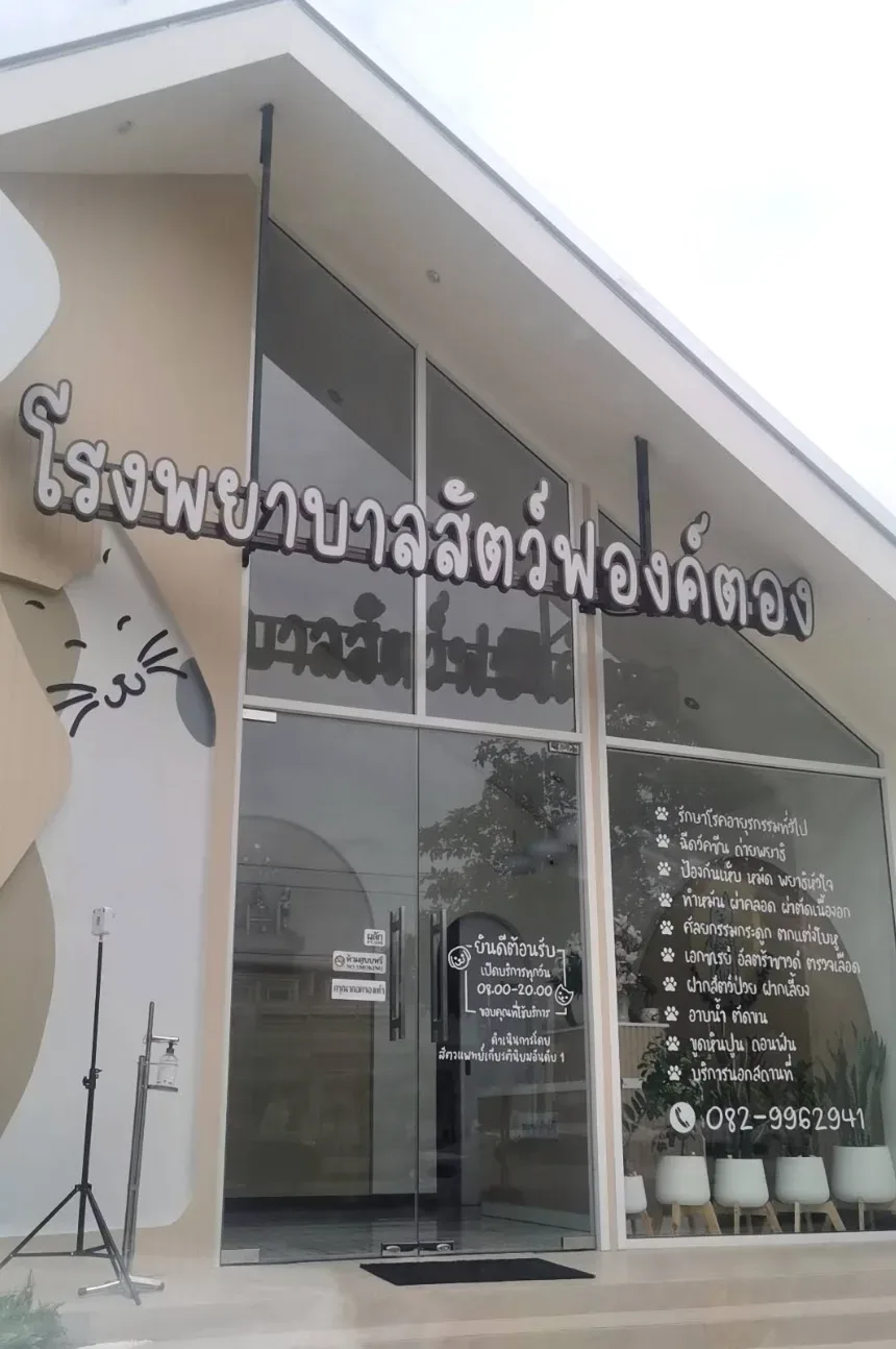 โรงพยาบาลสัตว์ฟองค์ตอง คลินิก-โรงพยาบาลสัตว์ นนทบุรี 6