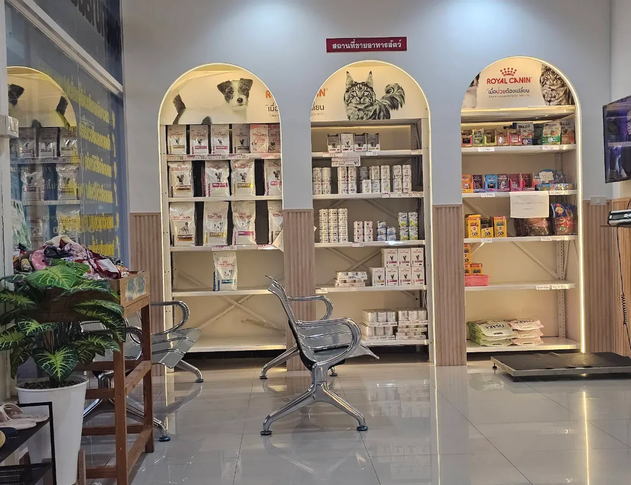 โรงพยาบาลสัตว์ ลาดปลาดุก