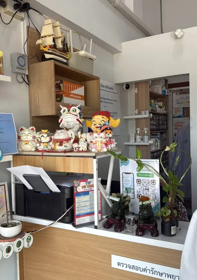 Pet Buddies Animal Hospital and Wellness คลินิก-โรงพยาบาลสัตว์ นนทบุรี 2
