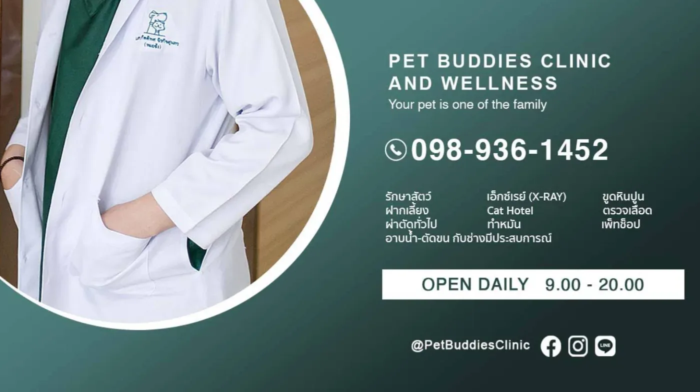 Pet Buddies Animal Hospital and Wellness คลินิก-โรงพยาบาลสัตว์ นนทบุรี 3