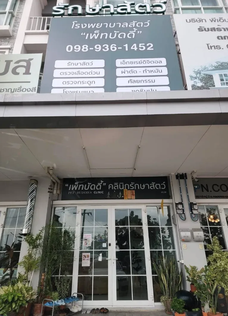 Pet Buddies Animal Hospital and Wellness คลินิก-โรงพยาบาลสัตว์ นนทบุรี 4
