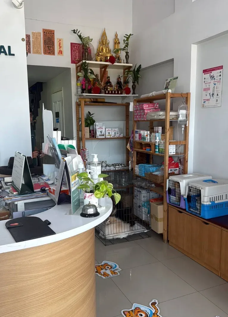 Pet Buddies Animal Hospital and Wellness คลินิก-โรงพยาบาลสัตว์ นนทบุรี 5