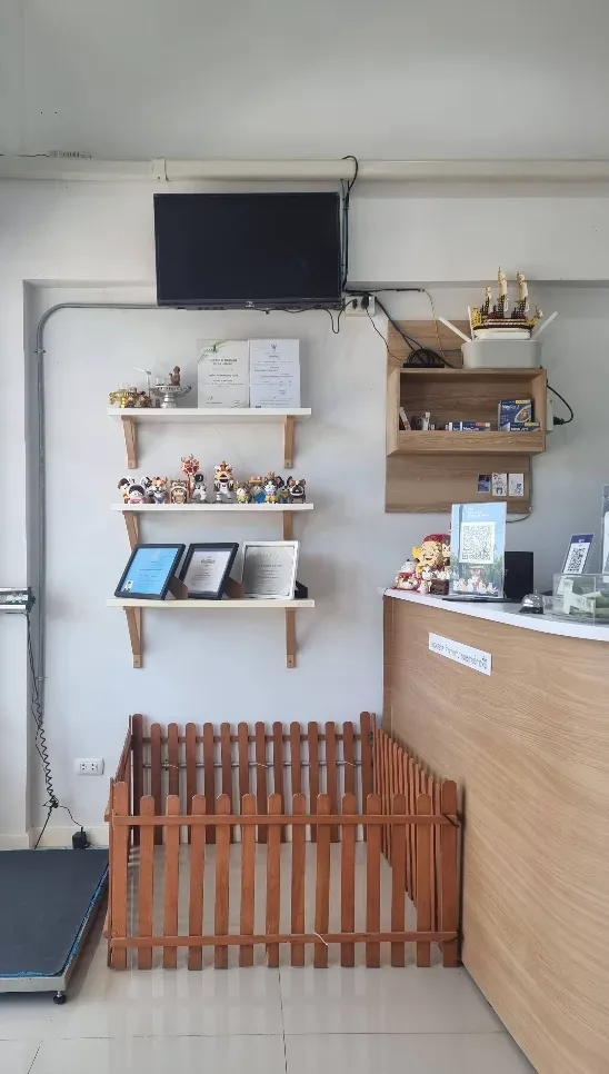 Pet Buddies Animal Hospital and Wellness คลินิก-โรงพยาบาลสัตว์ นนทบุรี 6