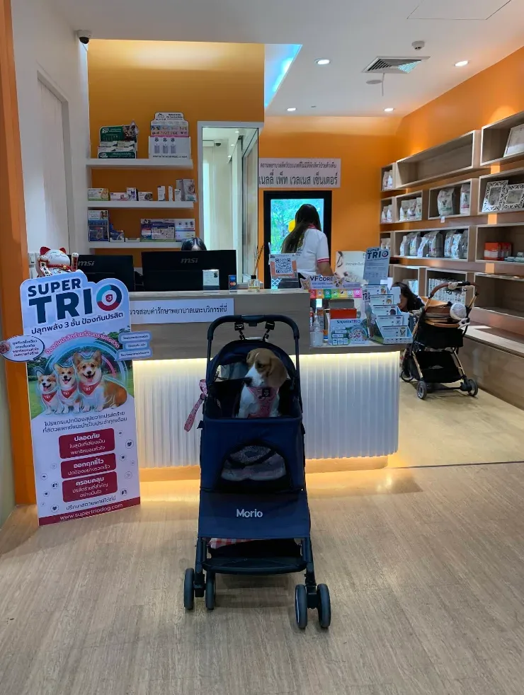 เนลลี่ เพ็ท เวลเนส เซ็นเตอร์ สาขา โรบินสัน ไลฟ์สไตล์ ราชพฤกษ์ NELLY PET WELLNESS CENTER คลินิก-โรงพยาบาลสัตว์ นนทบุรี 3