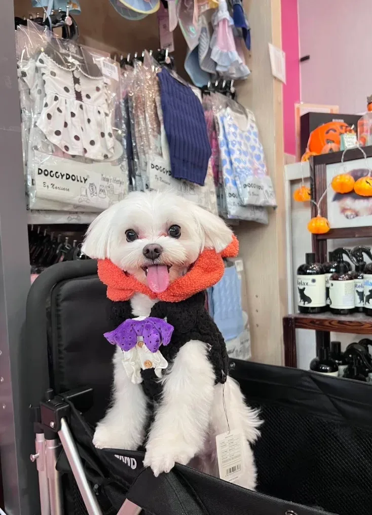เนลลี่ เพ็ท เวลเนส เซ็นเตอร์ สาขา โรบินสัน ไลฟ์สไตล์ ราชพฤกษ์ NELLY PET WELLNESS CENTER คลินิก-โรงพยาบาลสัตว์ นนทบุรี 4