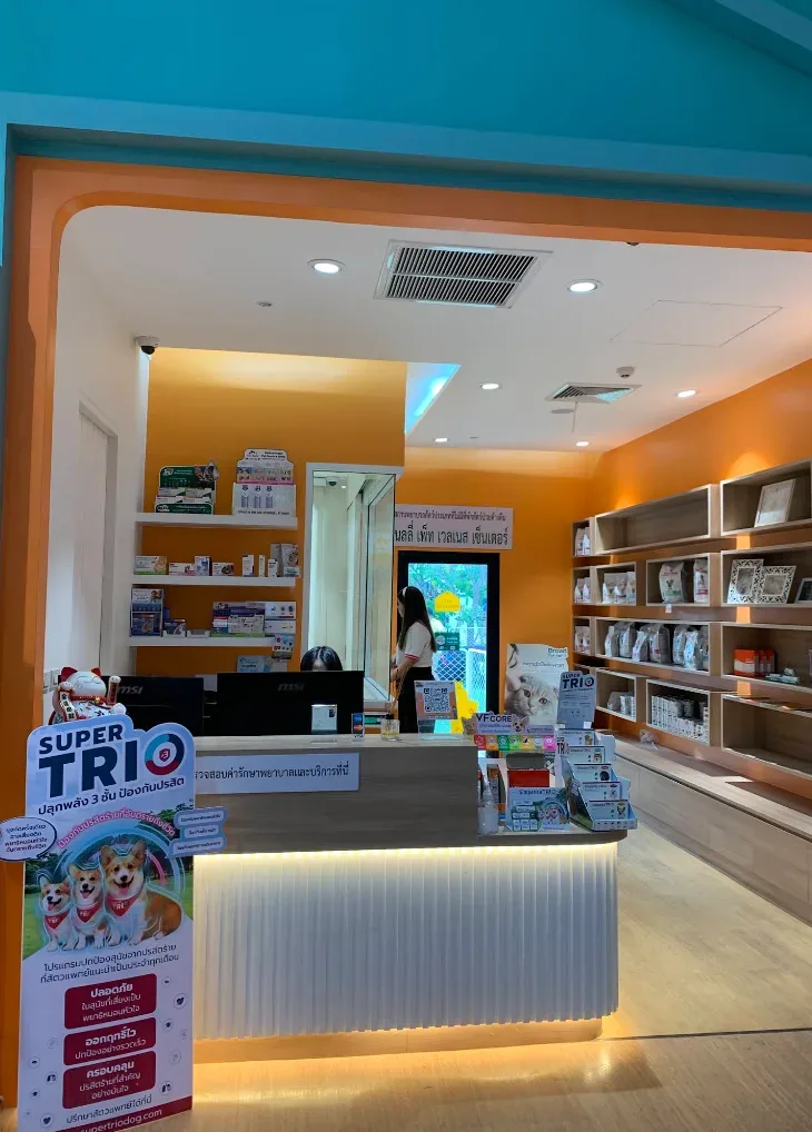 เนลลี่ เพ็ท เวลเนส เซ็นเตอร์ สาขา โรบินสัน ไลฟ์สไตล์ ราชพฤกษ์ NELLY PET WELLNESS CENTER คลินิก-โรงพยาบาลสัตว์ นนทบุรี 6