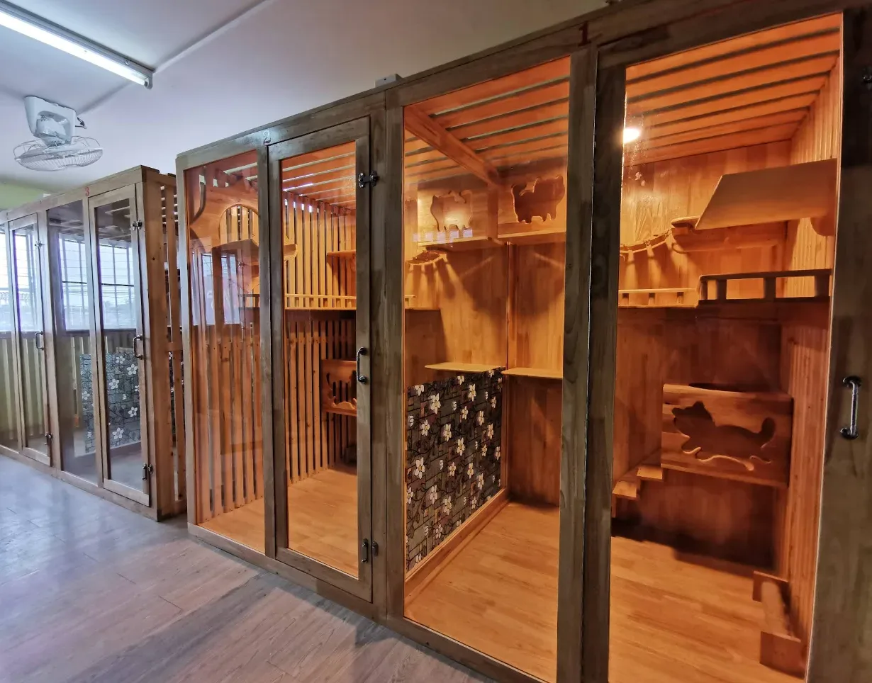 LPD Cat Hotel (โรงแรมแมว) คลินิก-โรงพยาบาลสัตว์ นนทบุรี 2