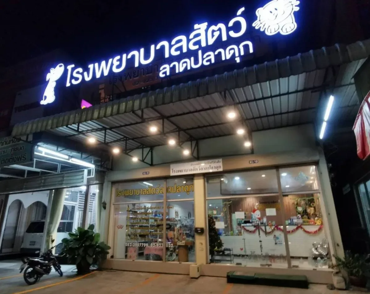 LPD Cat Hotel (โรงแรมแมว) คลินิก-โรงพยาบาลสัตว์ นนทบุรี 3