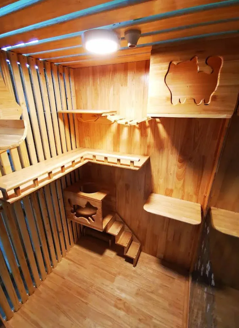 LPD Cat Hotel (โรงแรมแมว) คลินิก-โรงพยาบาลสัตว์ นนทบุรี 6