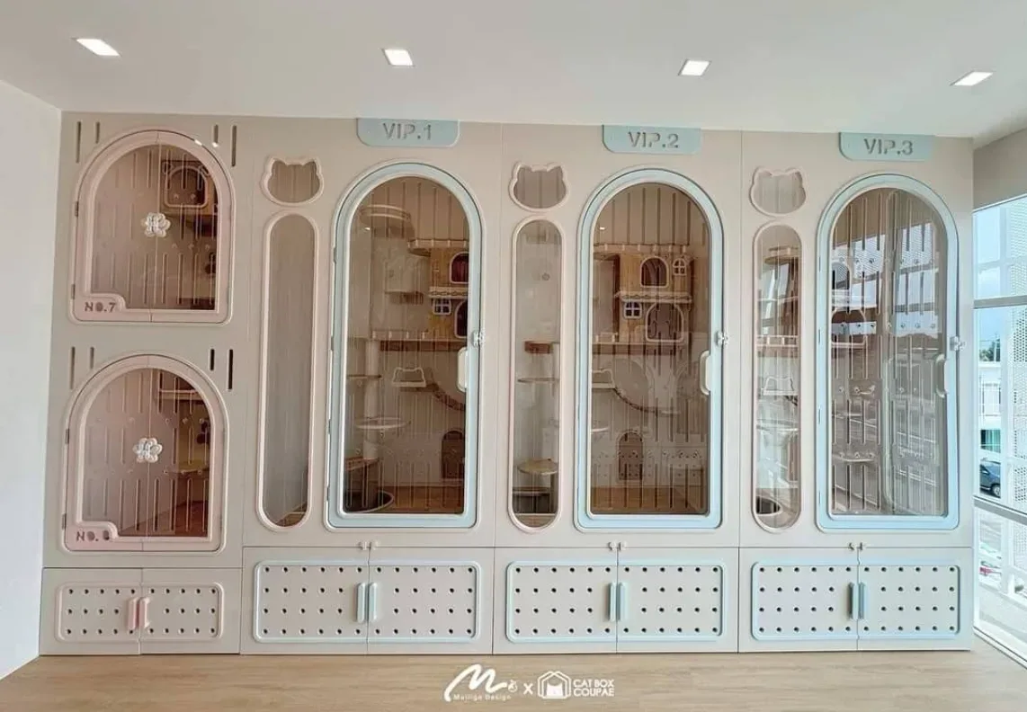 Paw Snap Grooming and Cat Hotel (โรงแรมแมว, อาบน้ำตัดขนสุนัขแมว, คลินิกรักษาสัตว์) คลินิก-โรงพยาบาลสัตว์ นนทบุรี 2