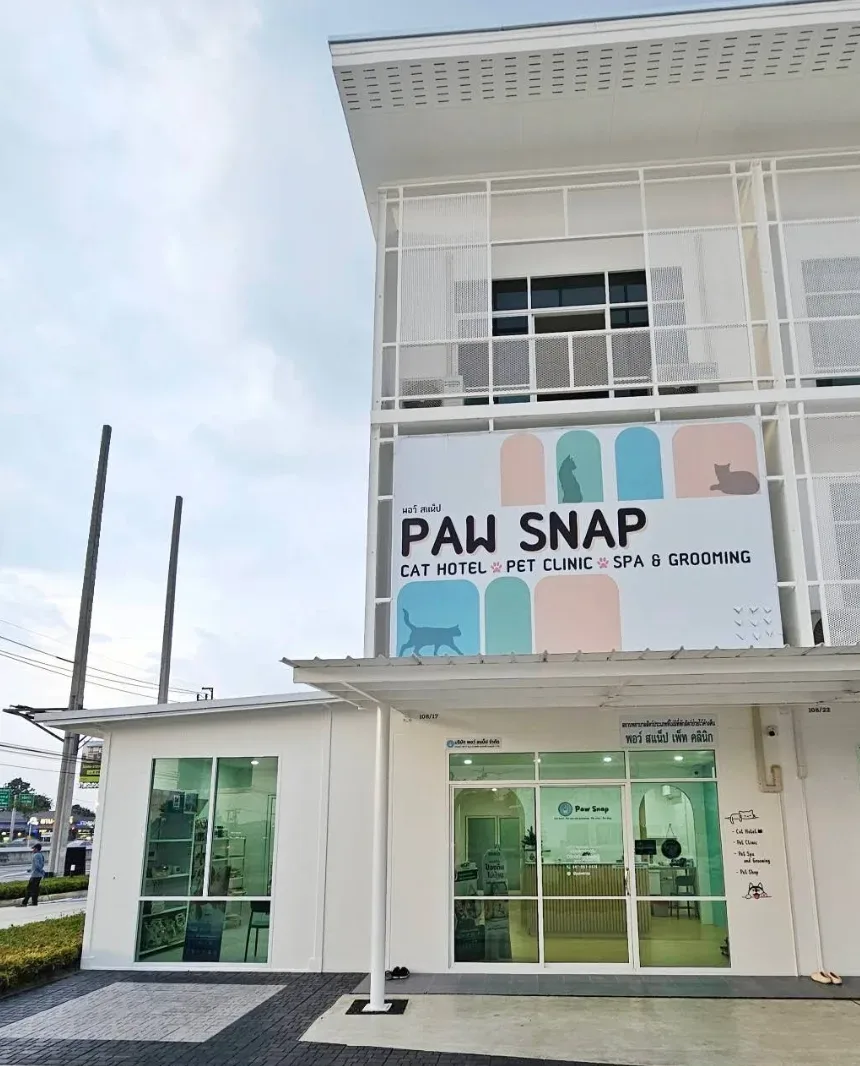 Paw Snap Grooming and Cat Hotel (โรงแรมแมว, อาบน้ำตัดขนสุนัขแมว, คลินิกรักษาสัตว์) คลินิก-โรงพยาบาลสัตว์ นนทบุรี 5