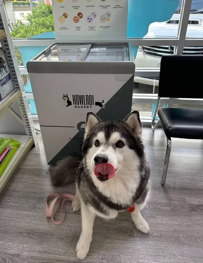 MJ Pet Hospital คลินิก-โรงพยาบาลสัตว์ นนทบุรี 2