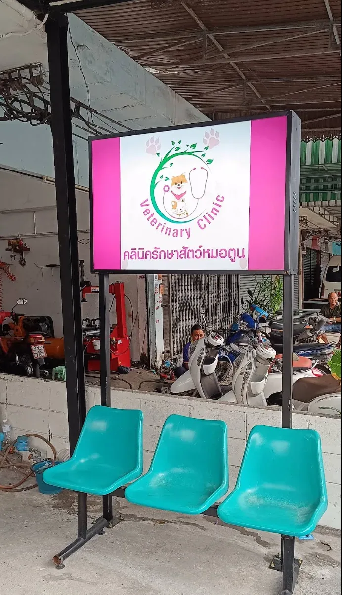 คลินิครักษาสัตว์หมอตูน คลินิก-โรงพยาบาลสัตว์ นนทบุรี 5