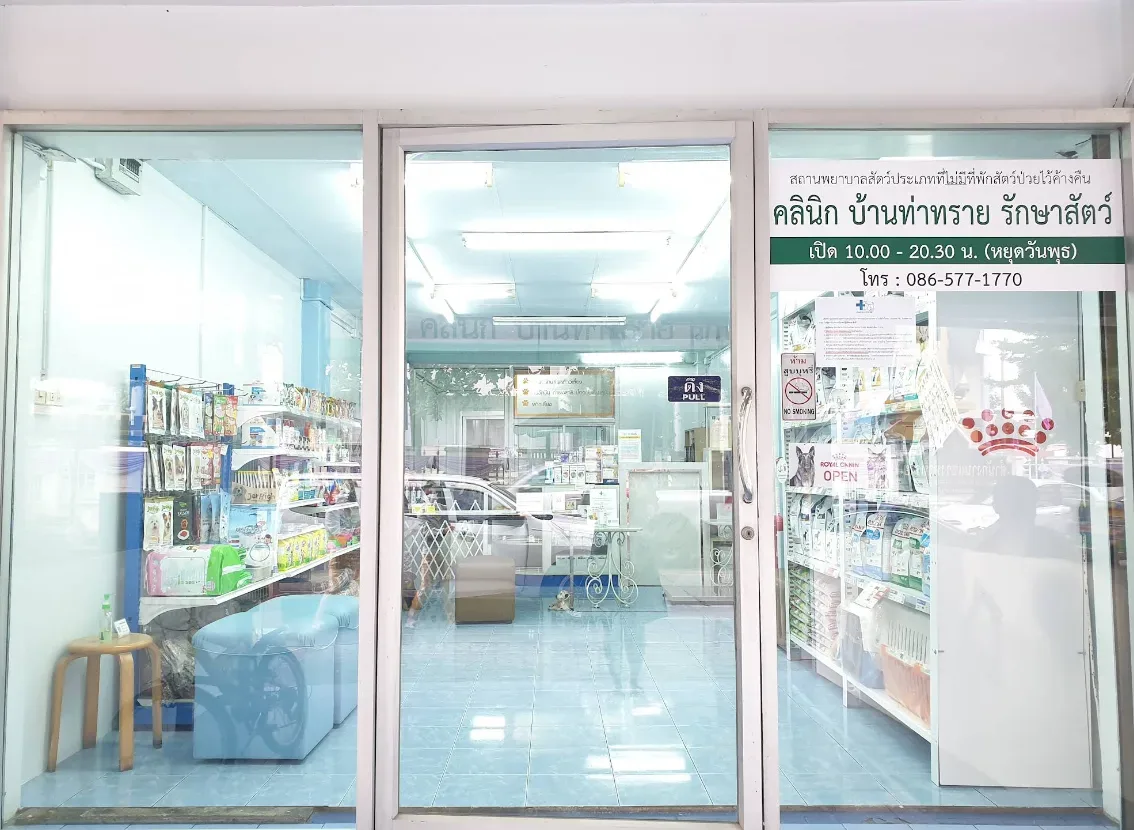คลินิก บ้านท่าทราย รักษาสัตว์ คลินิก-โรงพยาบาลสัตว์ นนทบุรี 3