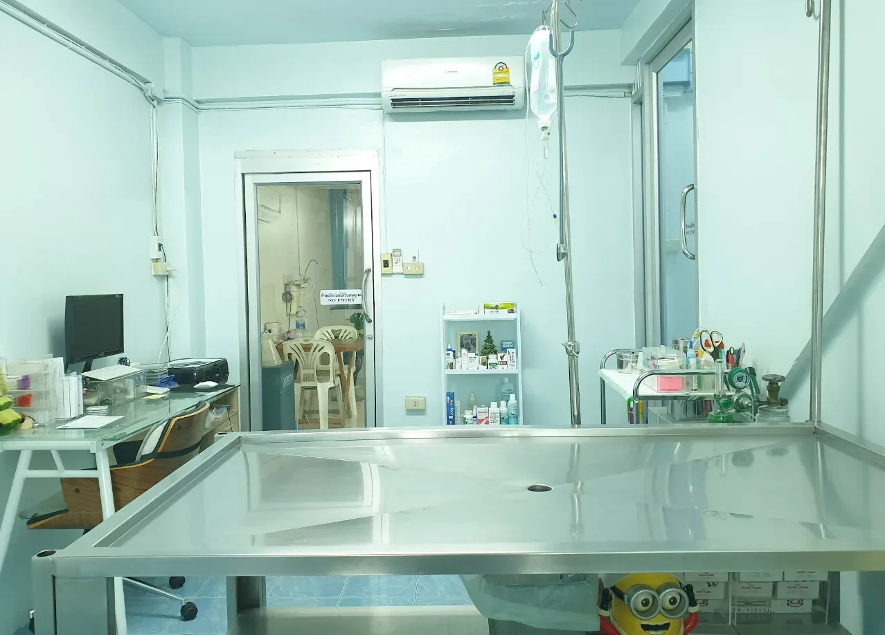 คลินิก บ้านท่าทราย รักษาสัตว์ คลินิก-โรงพยาบาลสัตว์ นนทบุรี 5