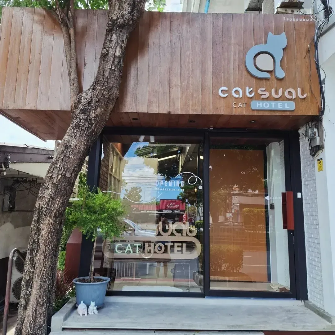 Catsual Cat Hotel รับฝากกลางวัน กรุงเทพมหานคร