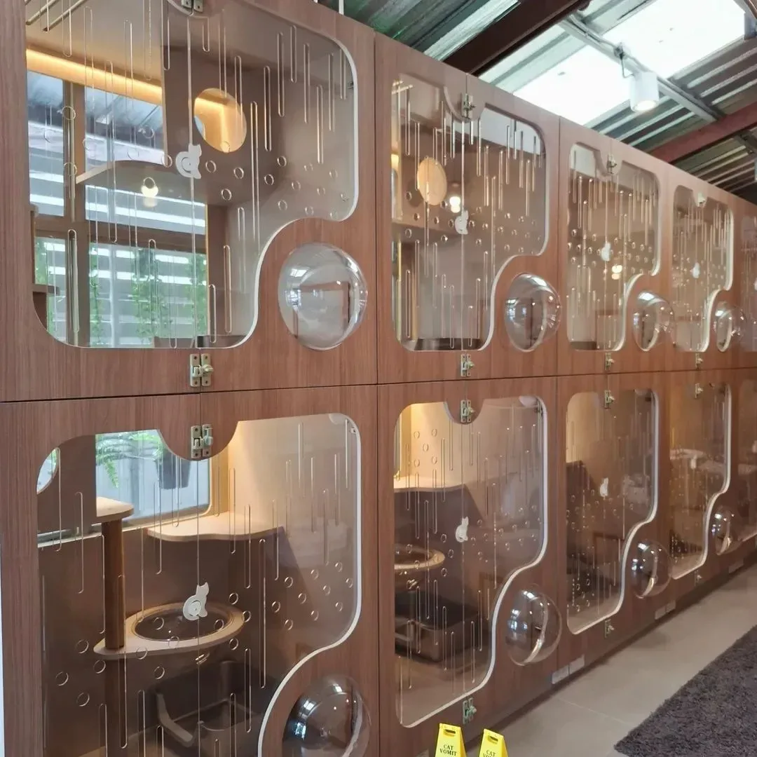 Catsual Cat Hotel รับฝากกลางวัน กรุงเทพมหานคร 3