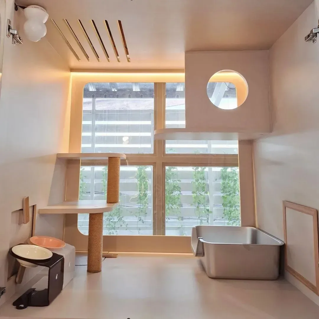 Catsual Cat Hotel รับฝากกลางวัน กรุงเทพมหานคร 4