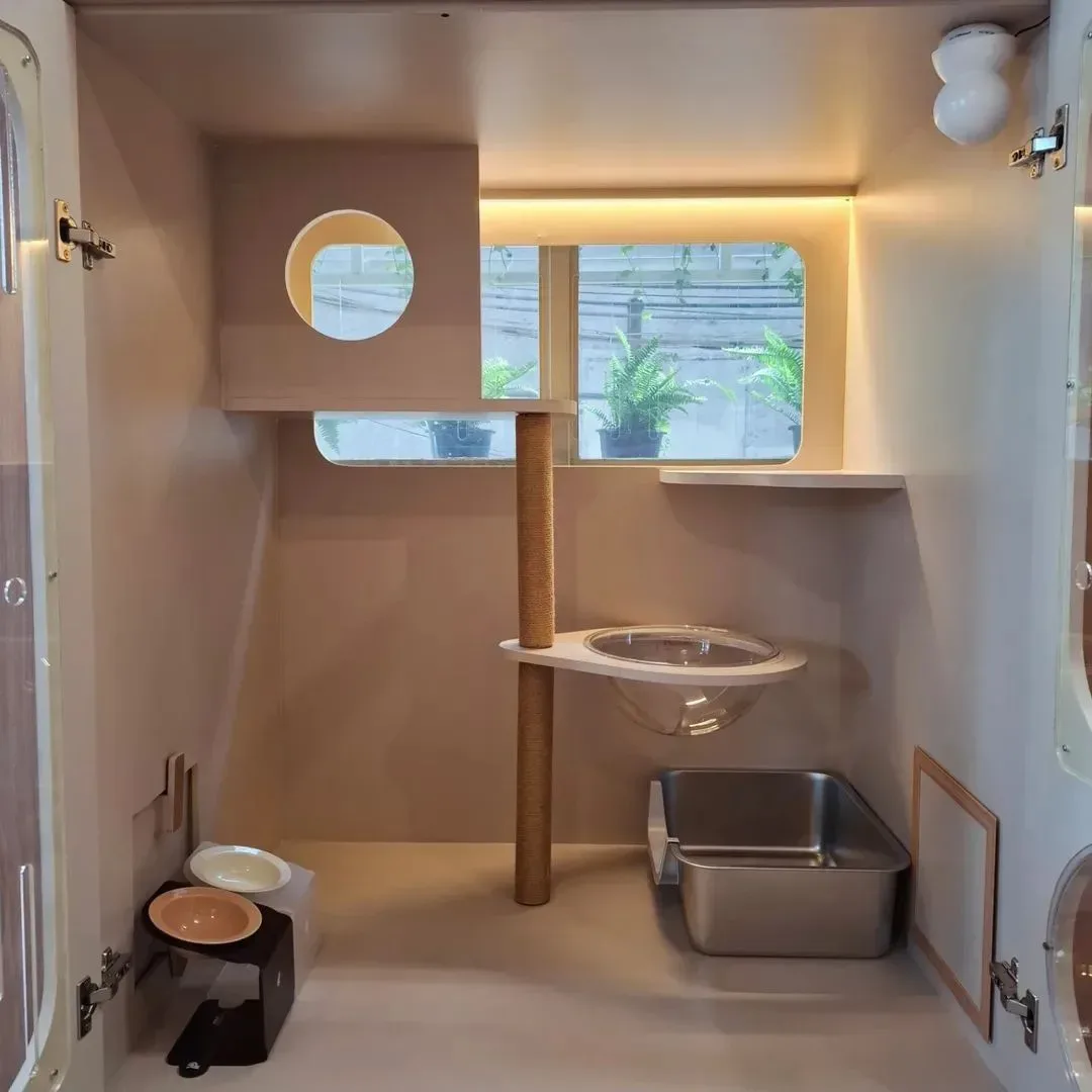 Catsual Cat Hotel รับฝากกลางวัน กรุงเทพมหานคร 5