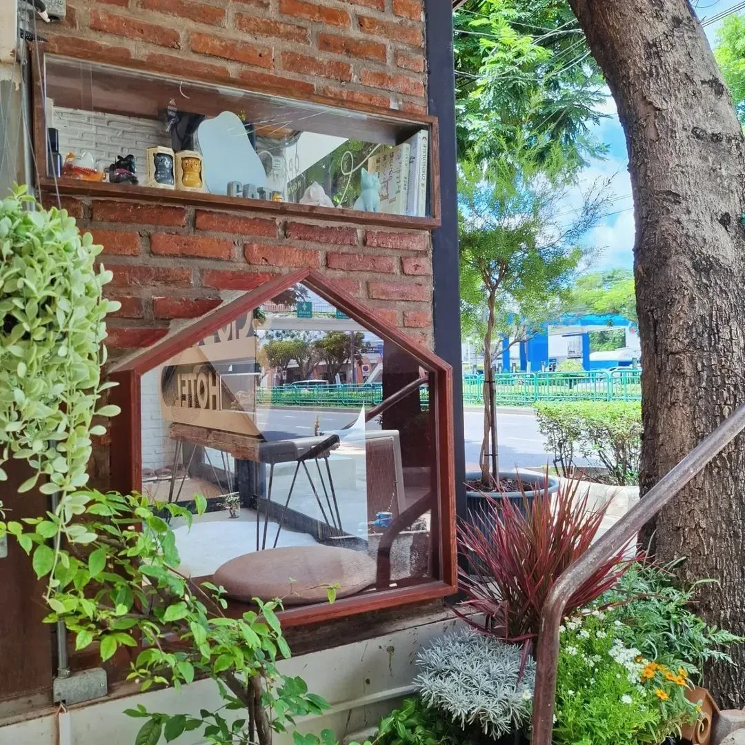 Catsual Cat Hotel รับฝากกลางวัน กรุงเทพมหานคร 6