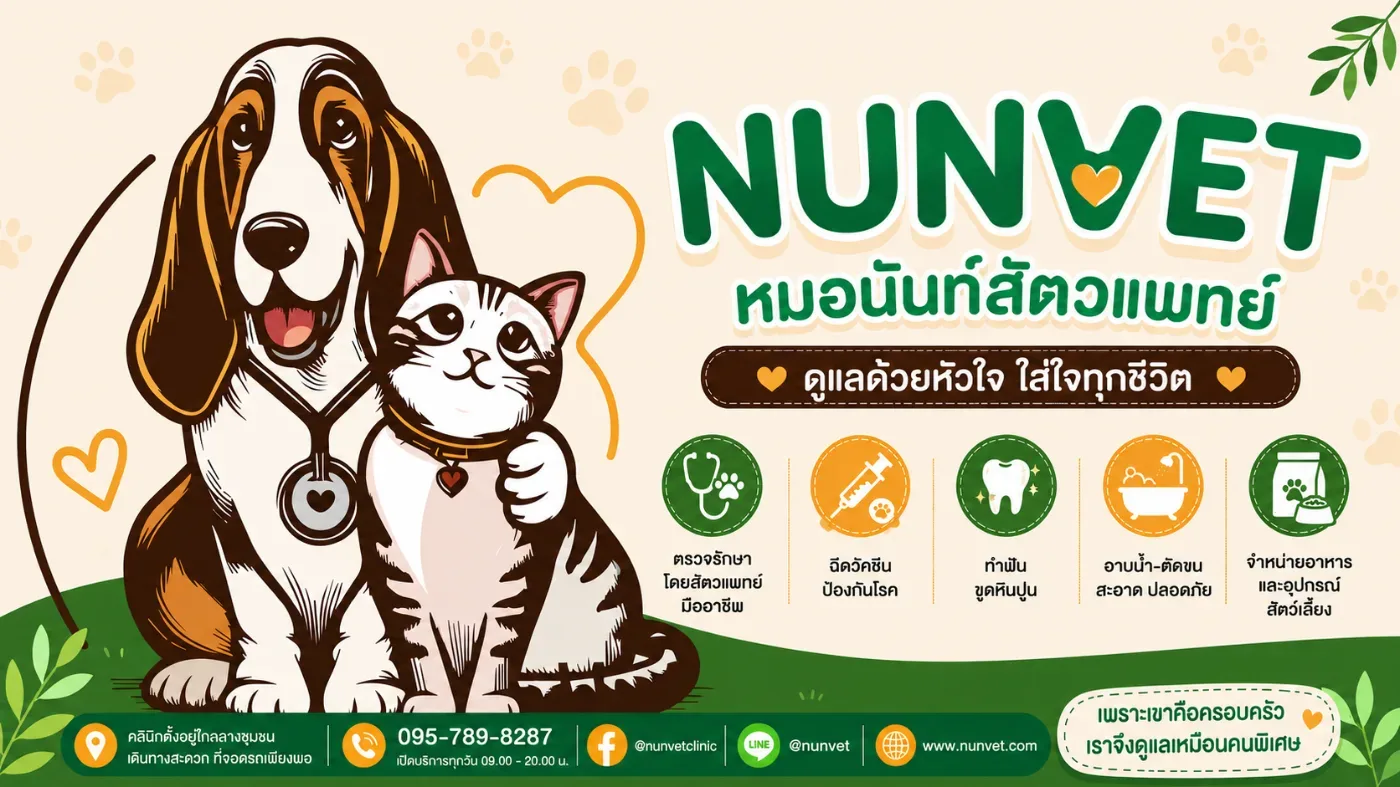 หมอนันท์สัตวแพทย์-NUNVET CLINIC :รักษาสัตว์ ผ่าตัด-ทำหมัน ฝังไมโครชิป รับฝากสัตว์เลี้ยง อาบน้ำ-ตัดขน Pet Influencer กรุงเทพมหานคร