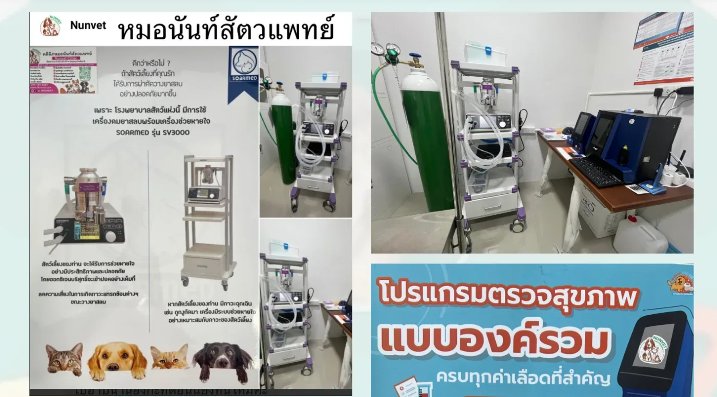 หมอนันท์สัตวแพทย์-NUNVET CLINIC :รักษาสัตว์ ผ่าตัด-ทำหมัน ฝังไมโครชิป รับฝากสัตว์เลี้ยง อาบน้ำ-ตัดขน Pet Influencer กรุงเทพมหานคร 5