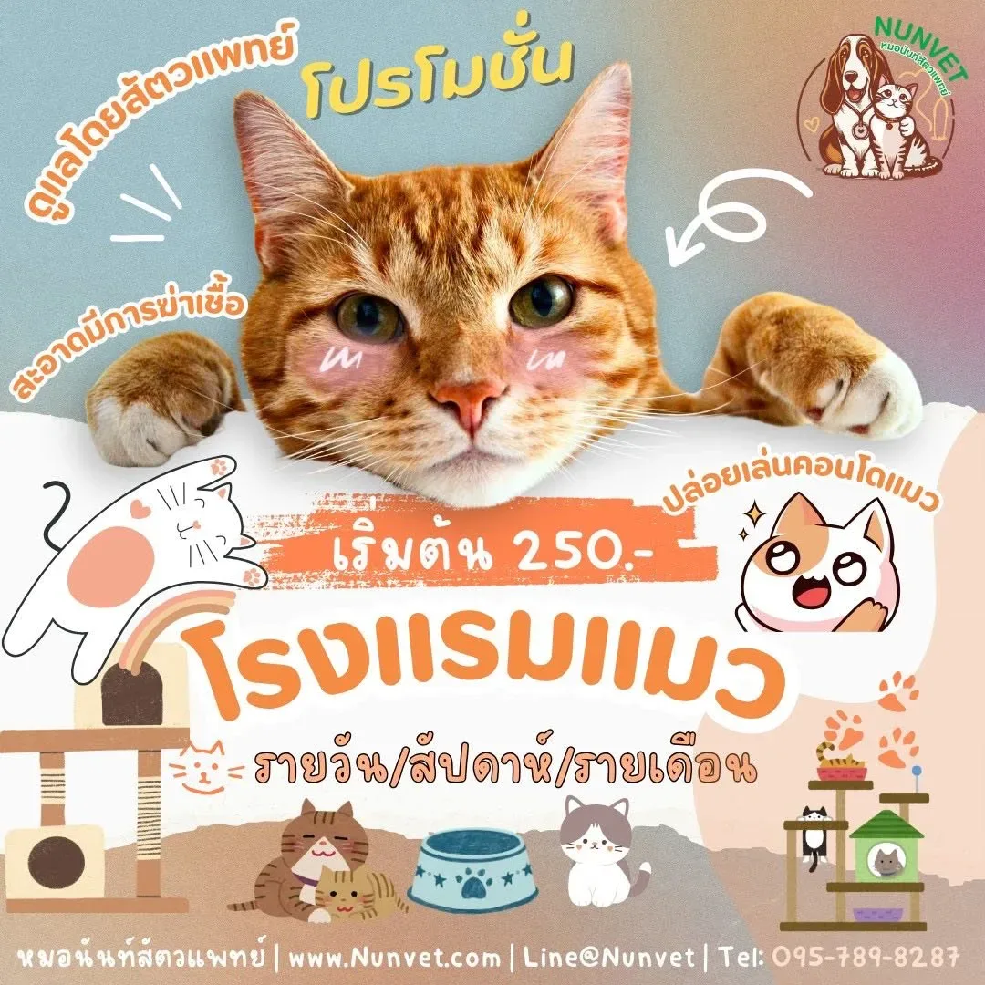 หมอนันท์สัตวแพทย์ NUNVET CLINIC รับฝากสัตว์เลี้ยงสุนัข-แมว รักษาสตว์ อาบน้้ำ ตัดขน รับฝากกลางวัน กรุงเทพมหานคร 2