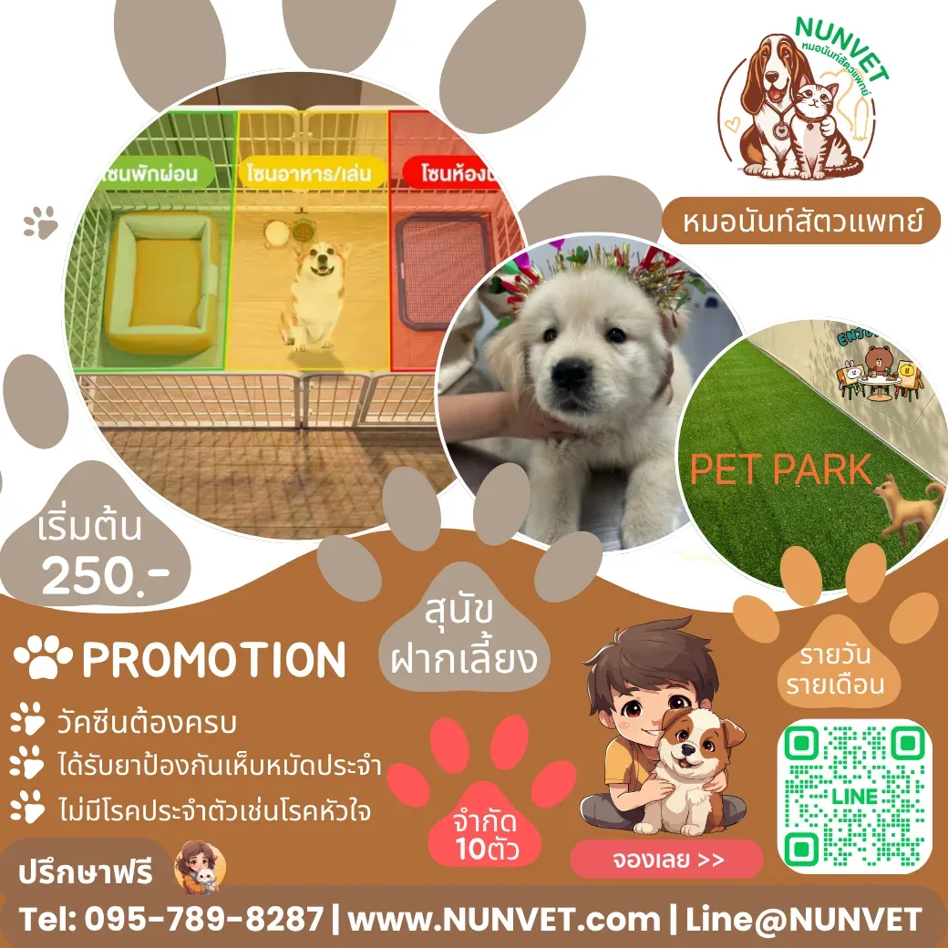 หมอนันท์สัตวแพทย์ NUNVET CLINIC รับฝากสัตว์เลี้ยงสุนัข-แมว รักษาสตว์ อาบน้้ำ ตัดขน รับฝากกลางวัน กรุงเทพมหานคร 4