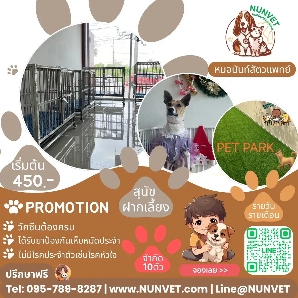 หมอนันท์สัตวแพทย์ NUNVET CLINIC รับฝากสัตว์เลี้ยงสุนัข-แมว รักษาสตว์ อาบน้้ำ ตัดขน รับฝากกลางวัน กรุงเทพมหานคร 5