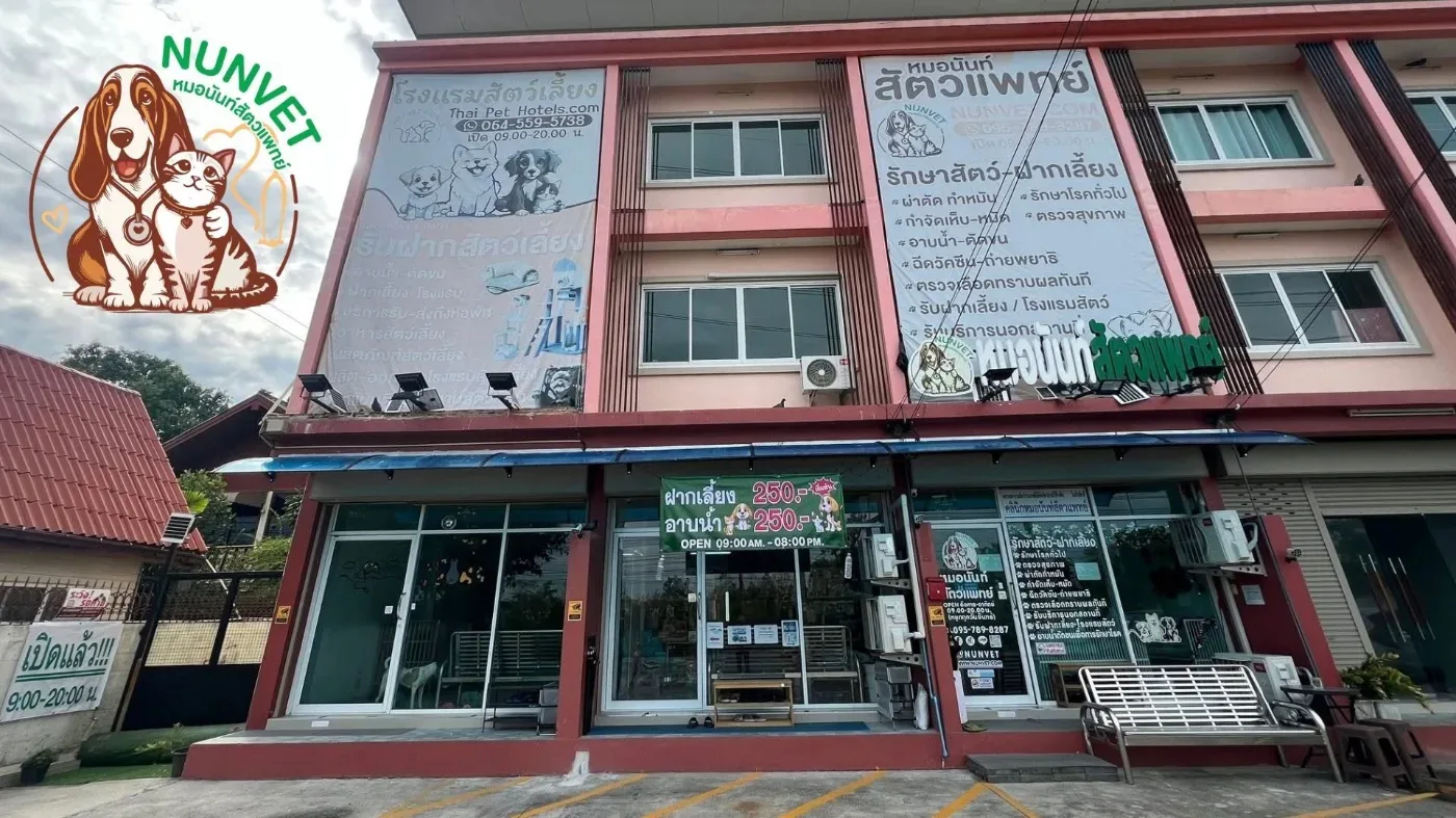 หมอนันท์สัตวแพทย์ NUNVET CLINIC รับฝากสัตว์เลี้ยงสุนัข-แมว รักษาสตว์ อาบน้้ำ ตัดขน รับฝากกลางวัน กรุงเทพมหานคร 6