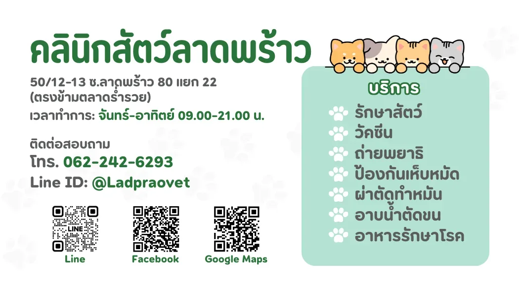 คลินิกสัตว์ลาดพร้าว คลินิก-โรงพยาบาลสัตว์ กรุงเทพมหานคร