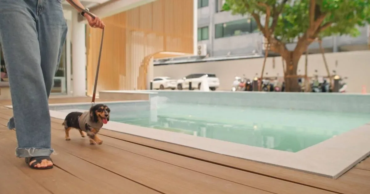 Arak Animal Hospital Langsuan โรงพยาบาลสัตว์อารักษ์ สาขาหลังสวน คลินิก-โรงพยาบาลสัตว์ กรุงเทพมหานคร