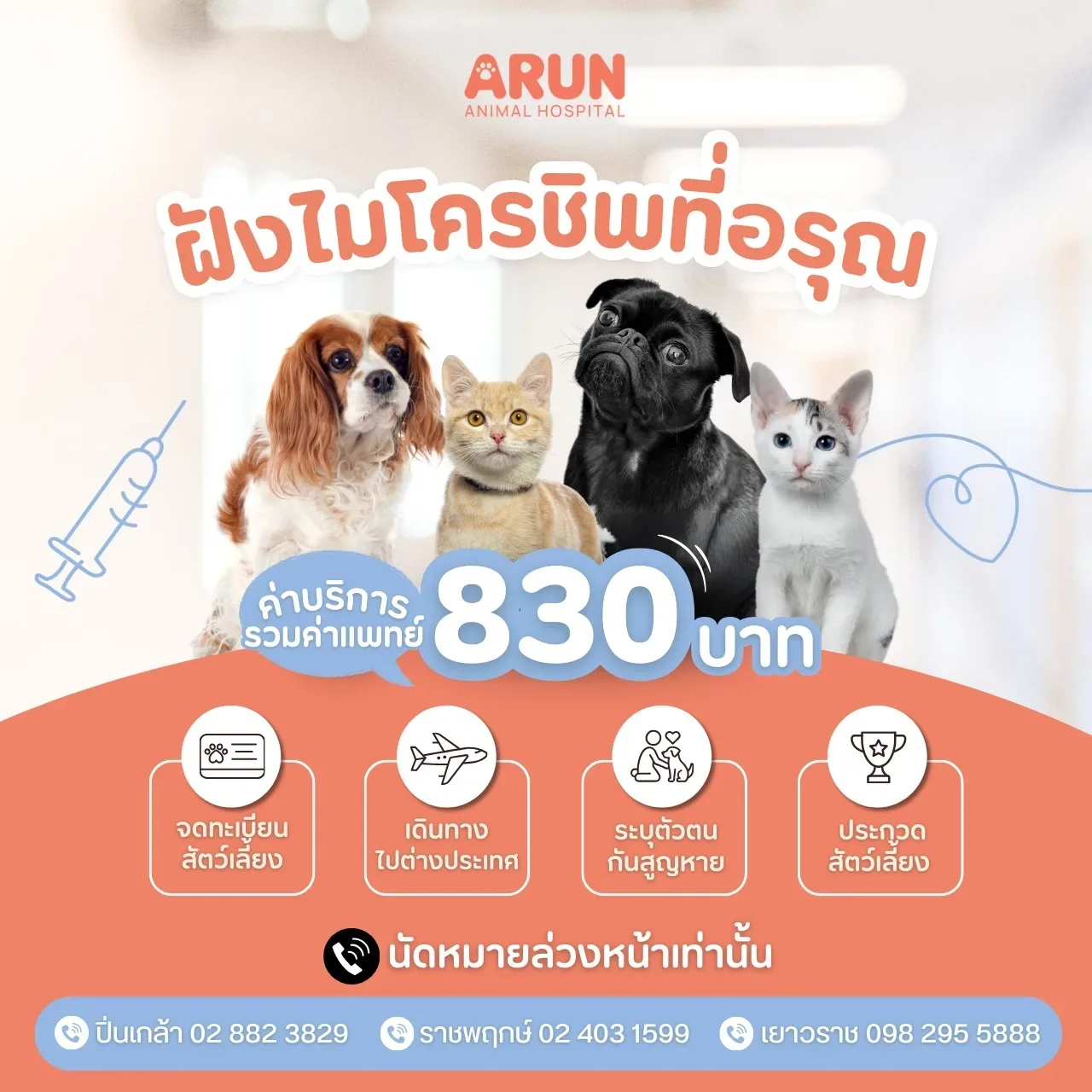 Arun Animal Hospital Yaowarat โรงพยาบาลสัตว์อรุณ สาขาเยาวราช คลินิก-โรงพยาบาลสัตว์ กรุงเทพมหานคร 5