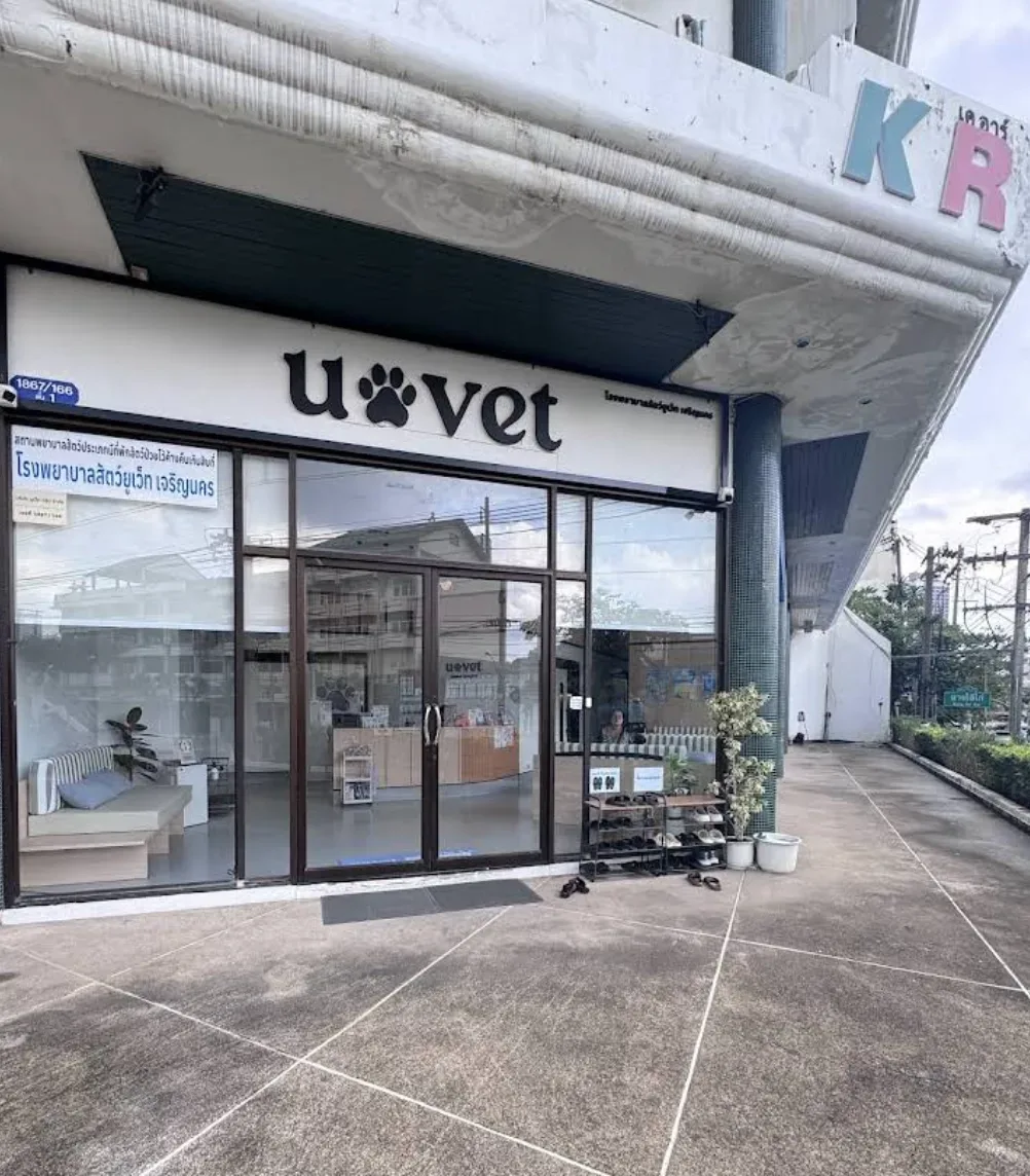 โรงพยาบาลสัตว์ยูเว็ท เจริญนคร UVET Animal Hospital Charoen Nakhon คลินิก-โรงพยาบาลสัตว์ กรุงเทพมหานคร 4
