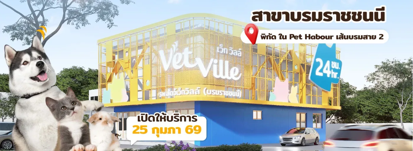 โรงพยาบาลสัตว์เว็ทวิลล์ Vetville Pet Hospital คลินิก-โรงพยาบาลสัตว์ กรุงเทพมหานคร 3