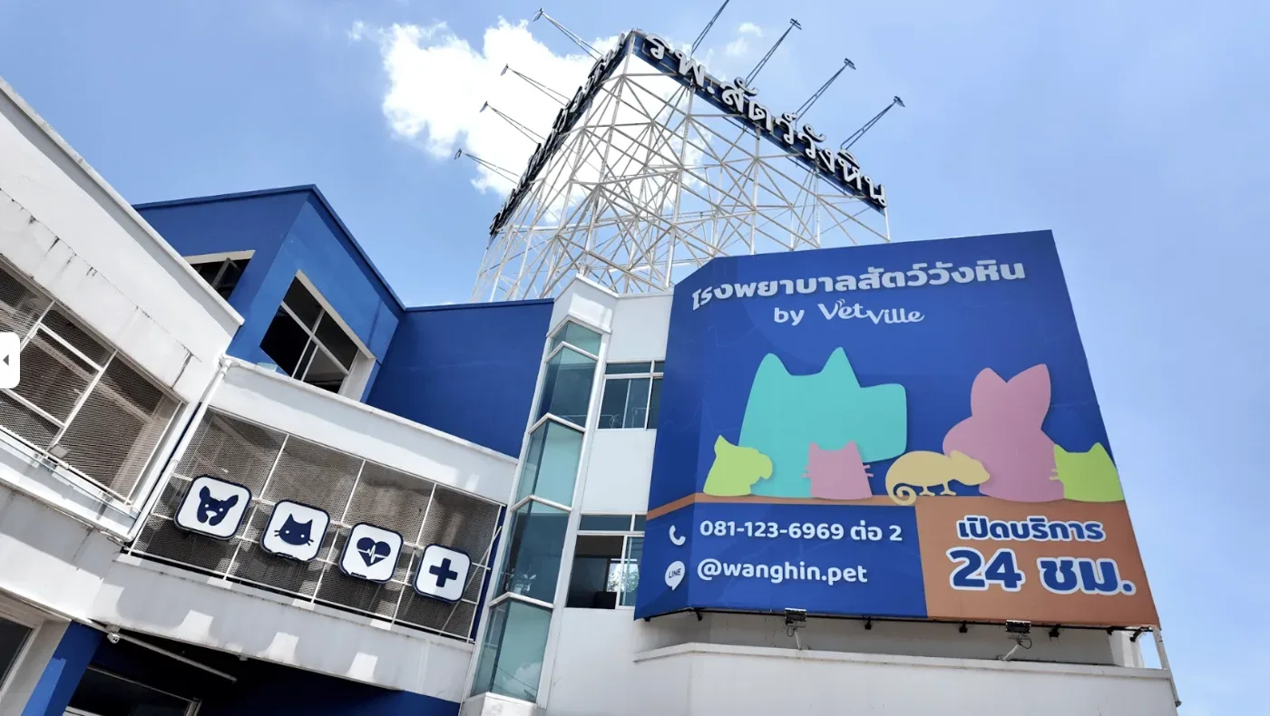 โรงพยาบาลสัตว์เว็ทวิลล์ Vetville Pet Hospital คลินิก-โรงพยาบาลสัตว์ กรุงเทพมหานคร 5